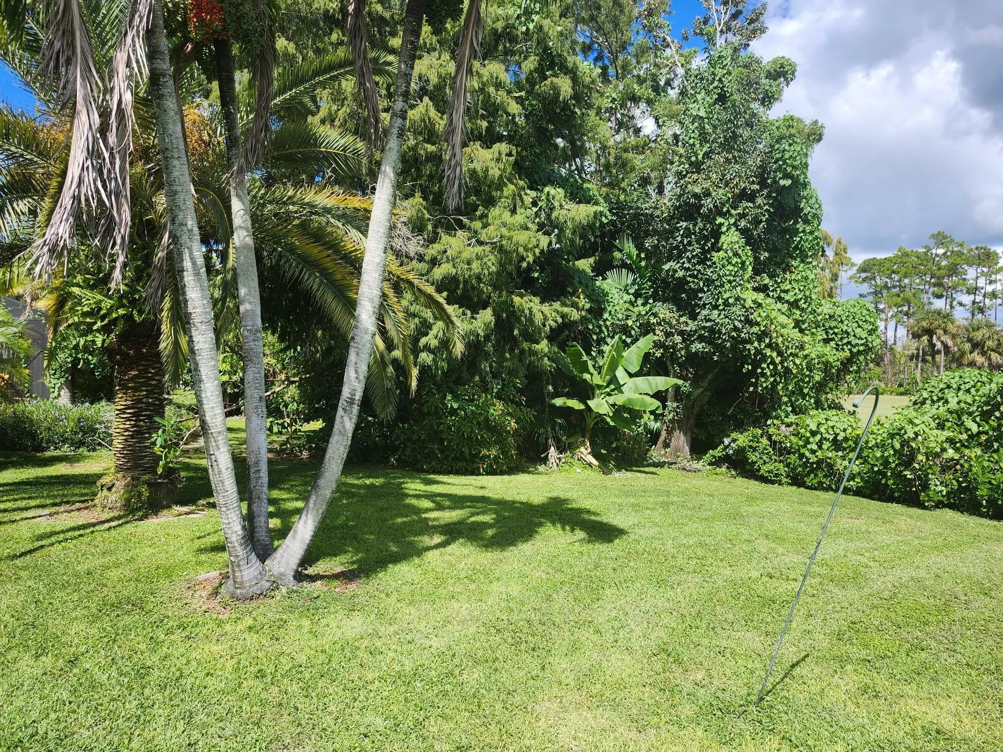 486 Cypress Green Cir