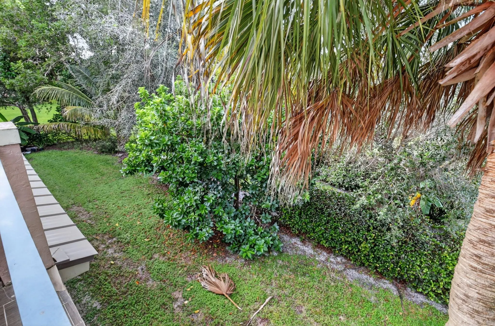 9393 Savannah Estates Drive