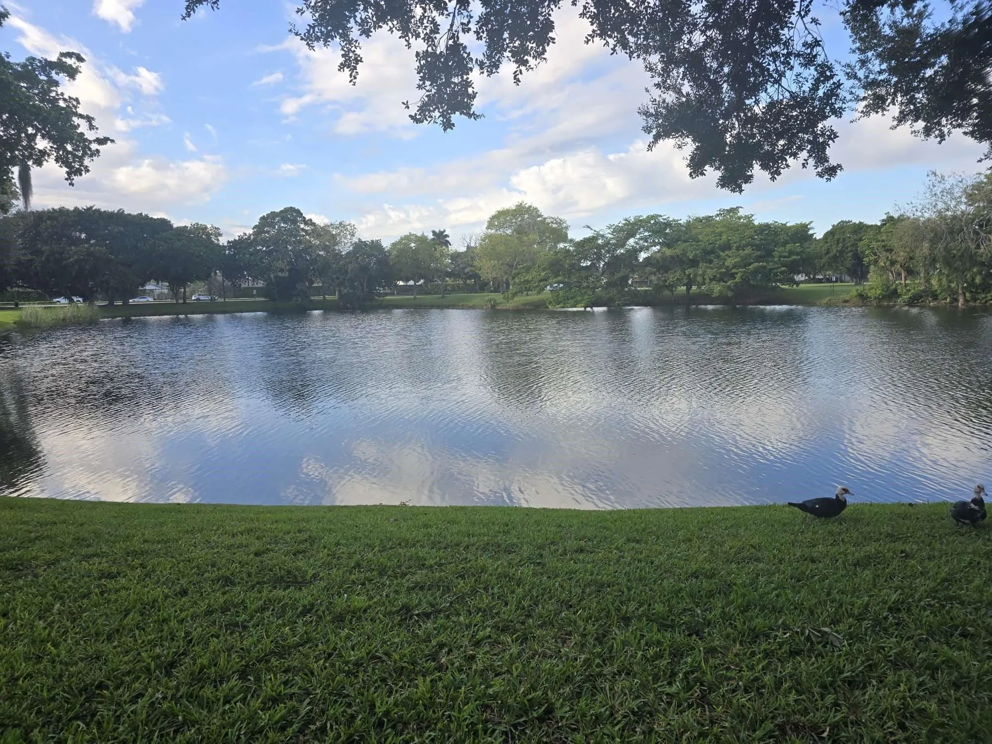 3567 NW 94th Ave, #4D