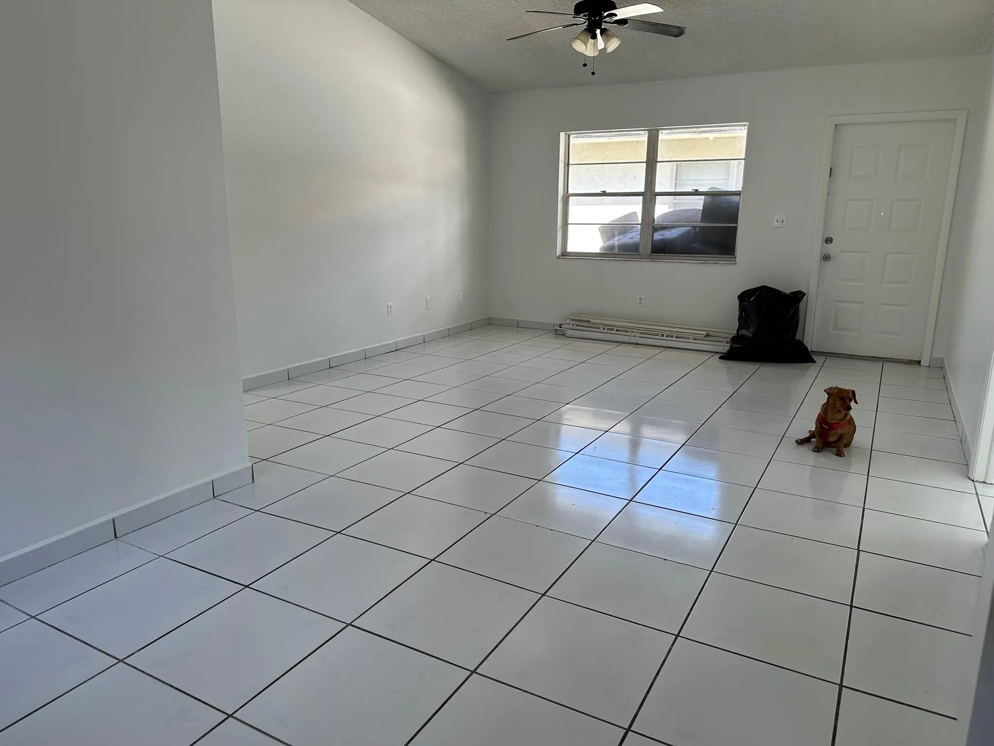 1705 Adams Street, #1705