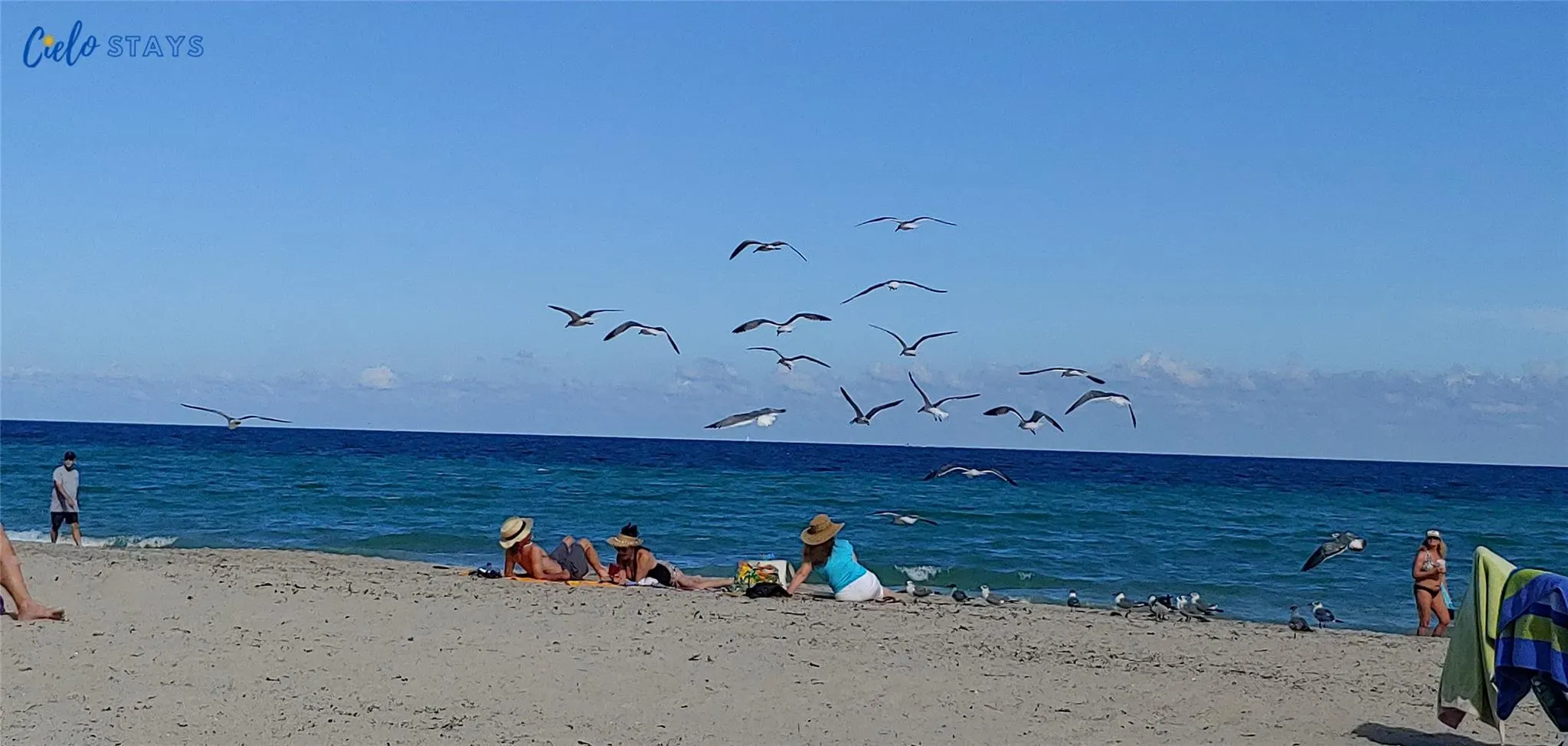 777 N Ocean Dr, #N522