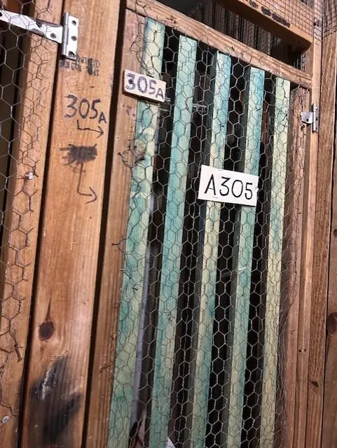 3590 Blue Lake Dr, #305