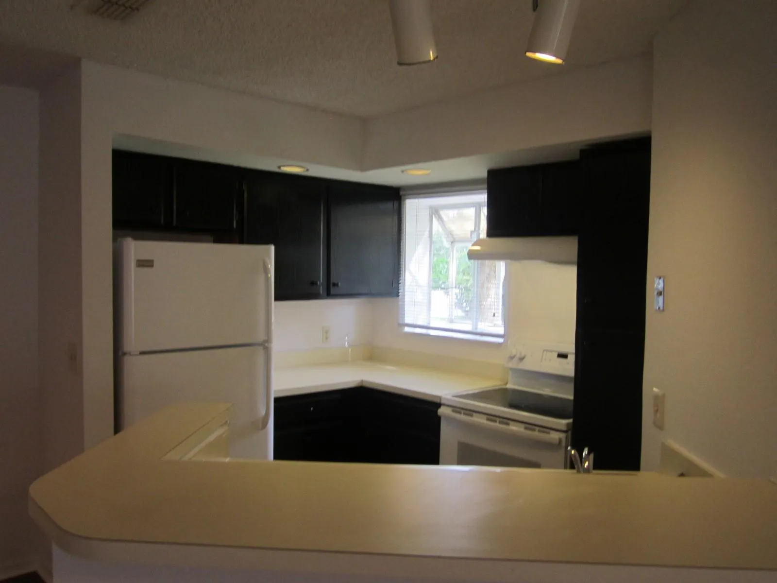 3310 Pinewalk Dr N, #1812