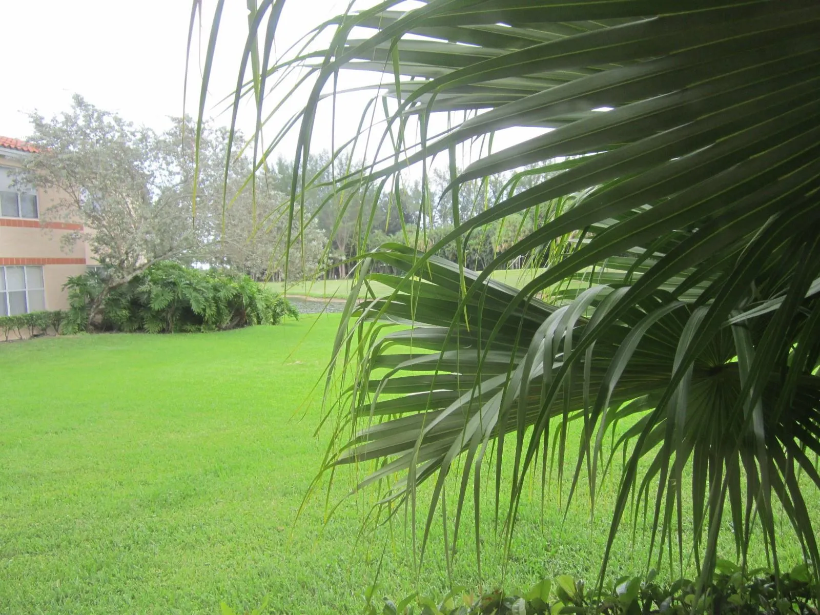 3310 Pinewalk Dr N, #1812