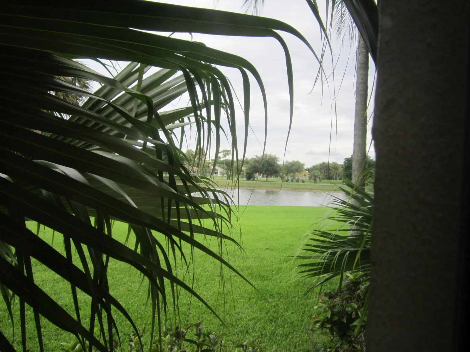 3310 Pinewalk Dr N, #1812