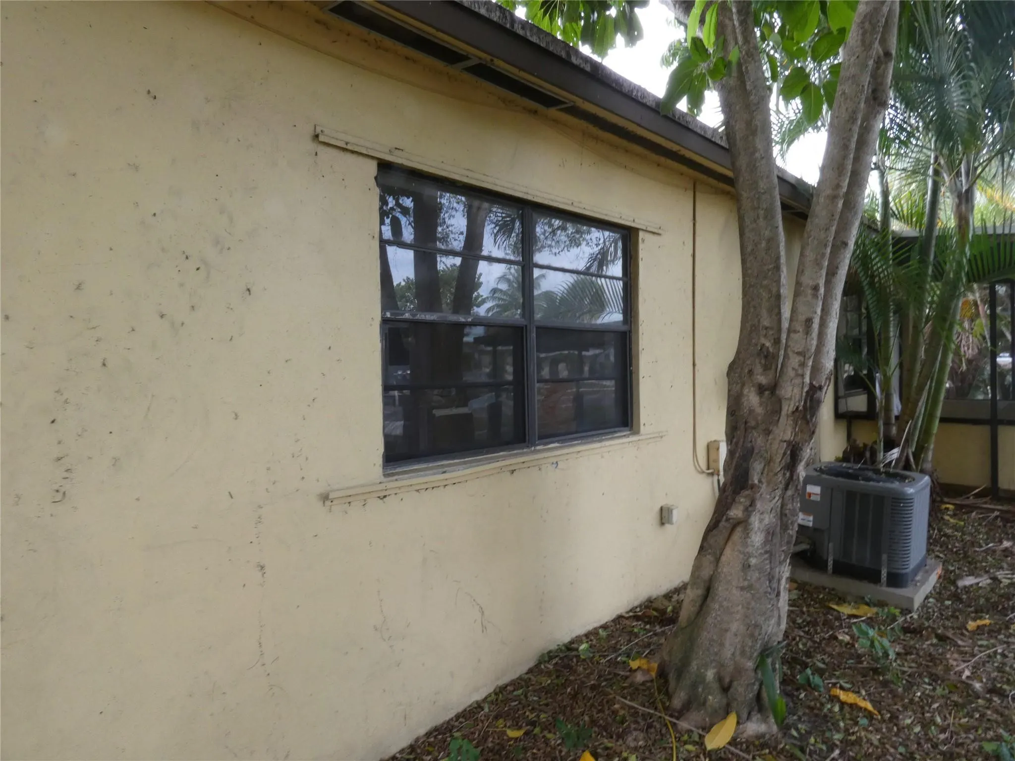 82 Tortuga Road