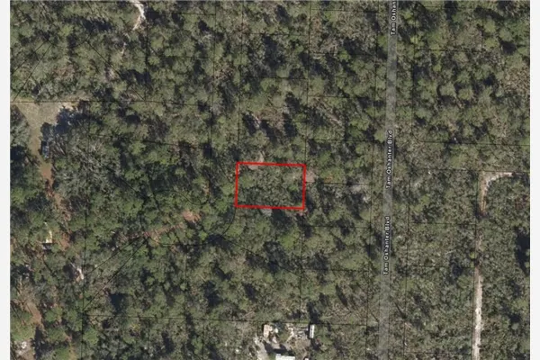 10681 Interlacher Drive