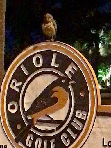 1010 Country Club Drive, #108