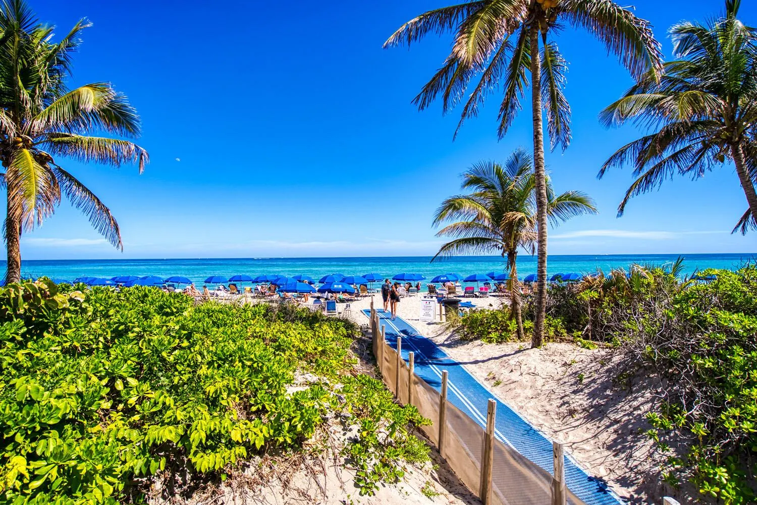 1985 S Ocean Drive, #Lp