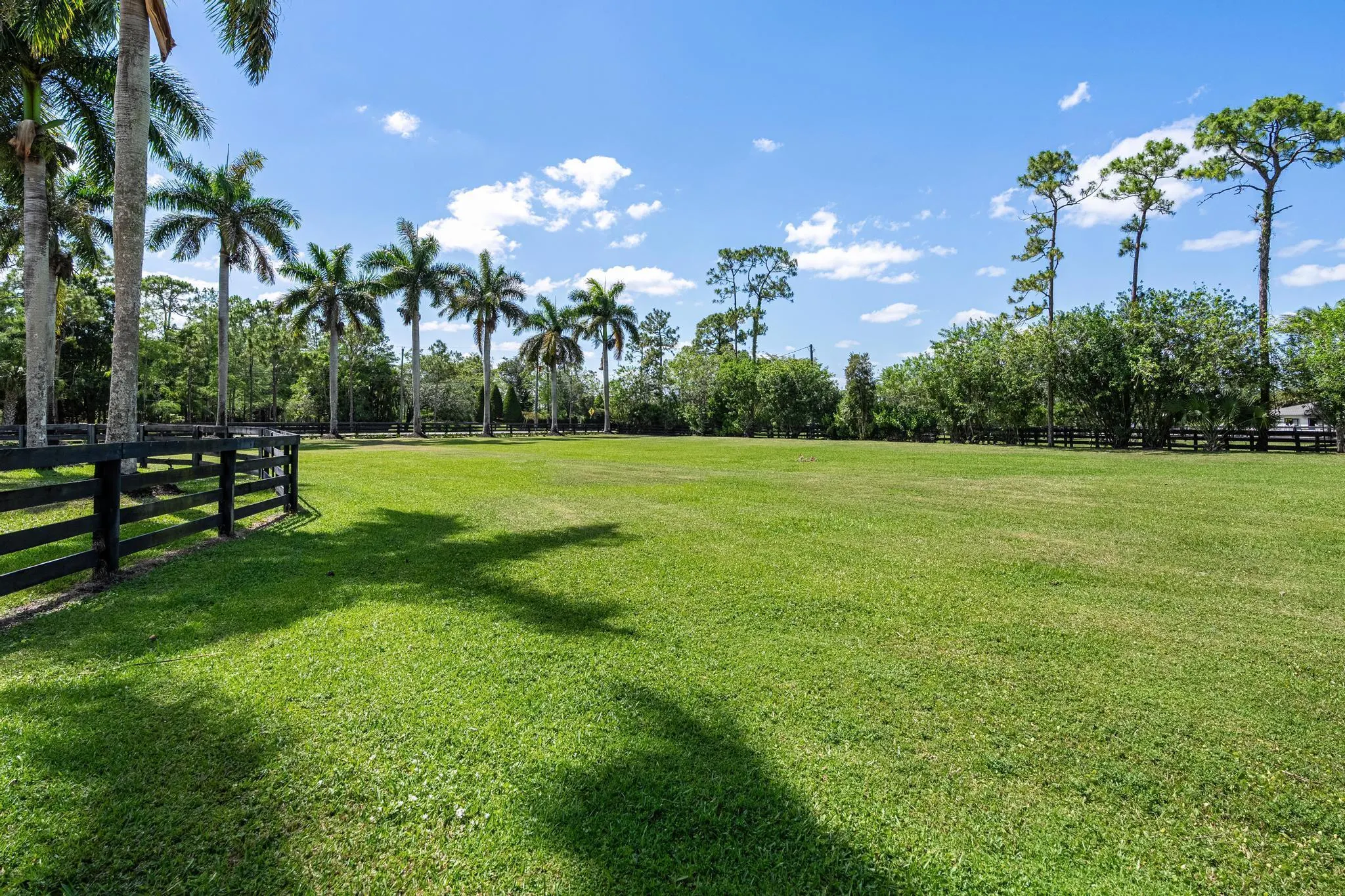 6186 Duckweed Road