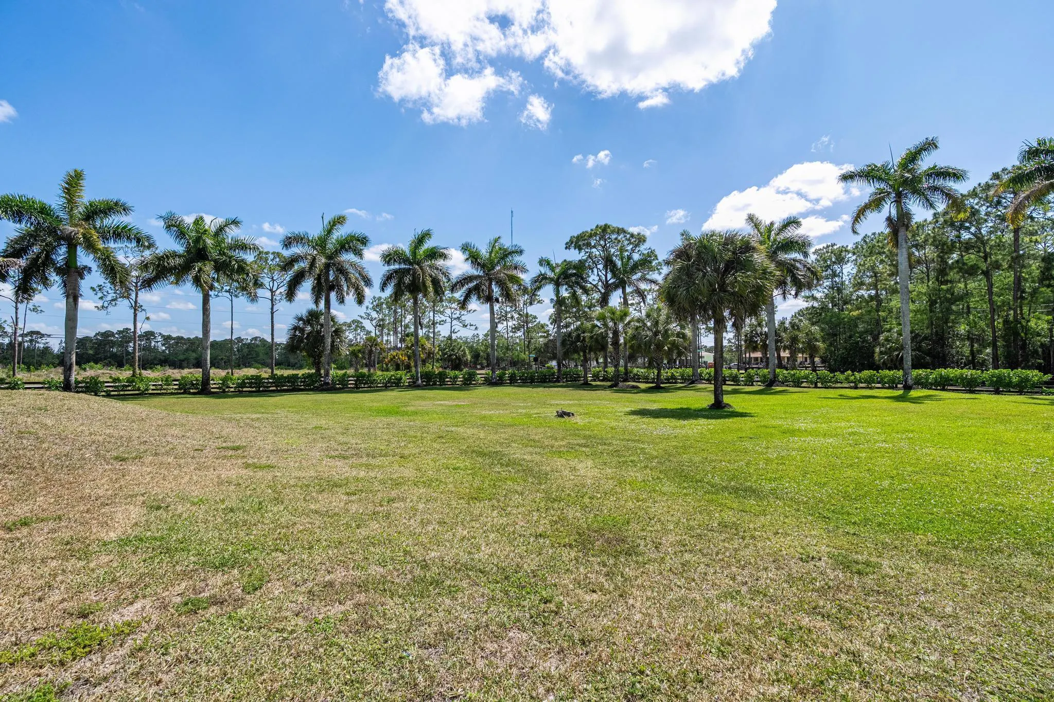 6186 Duckweed Road
