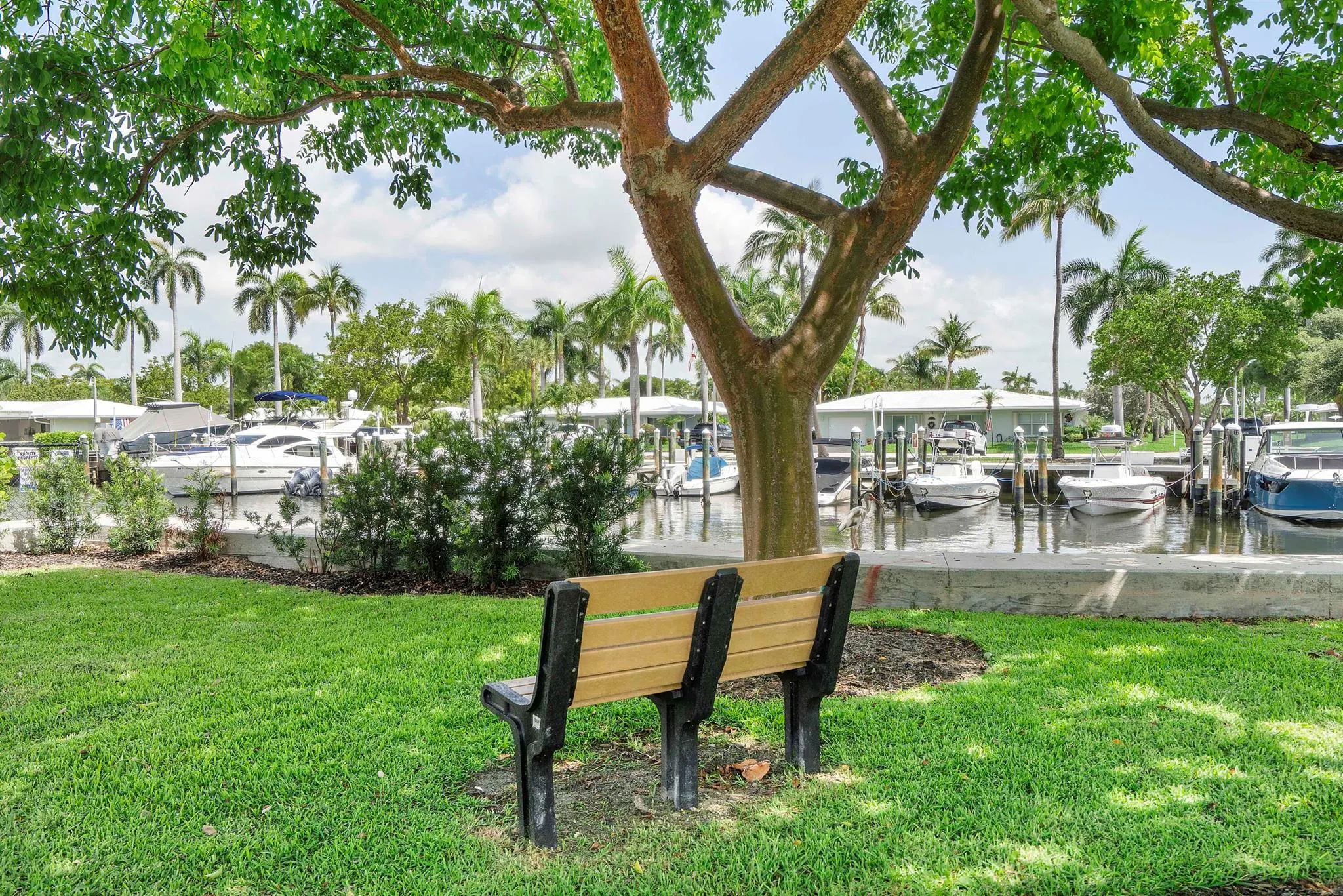 1948 Coco Palm Place