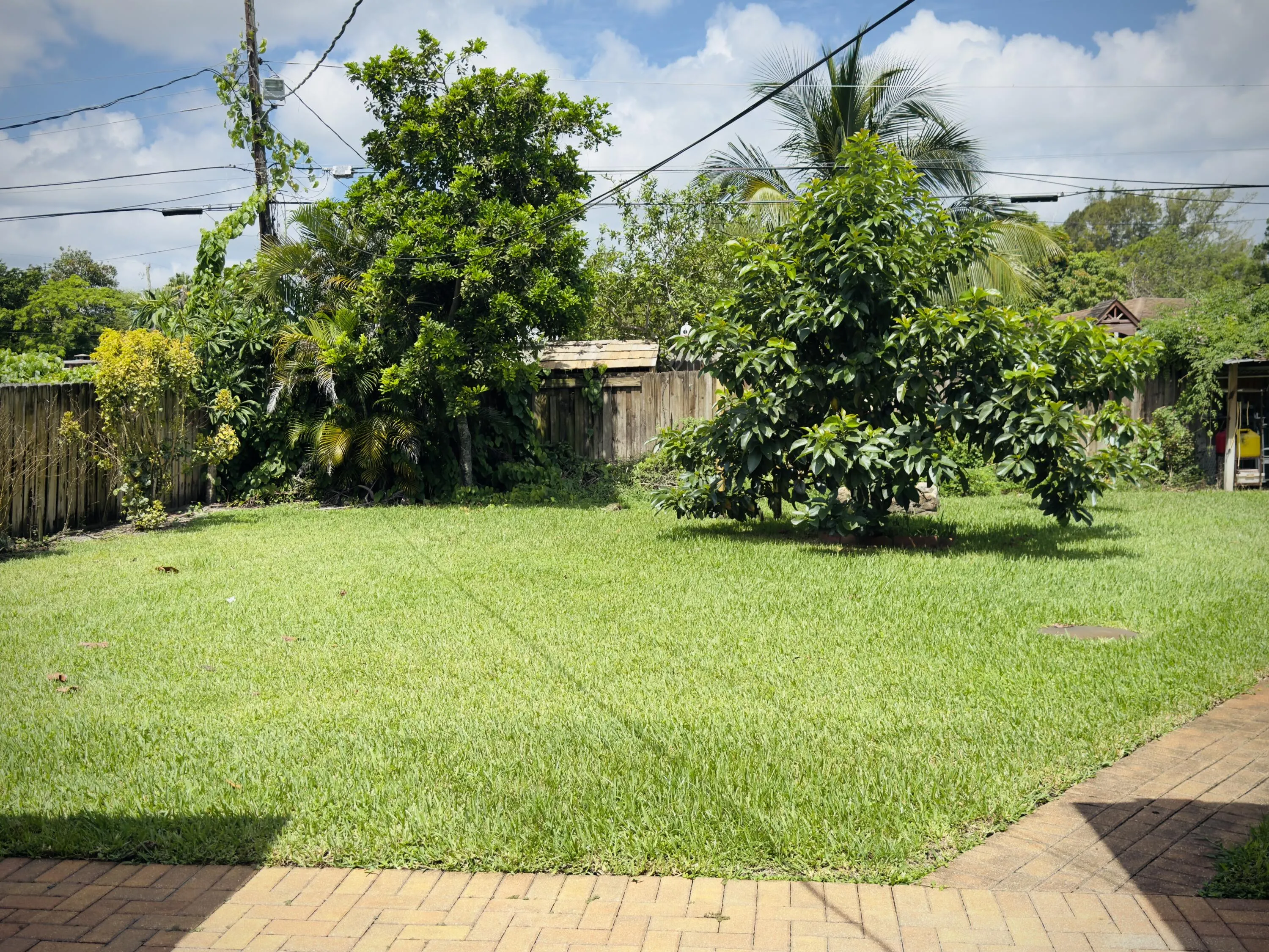 411 Forest Estate Drive