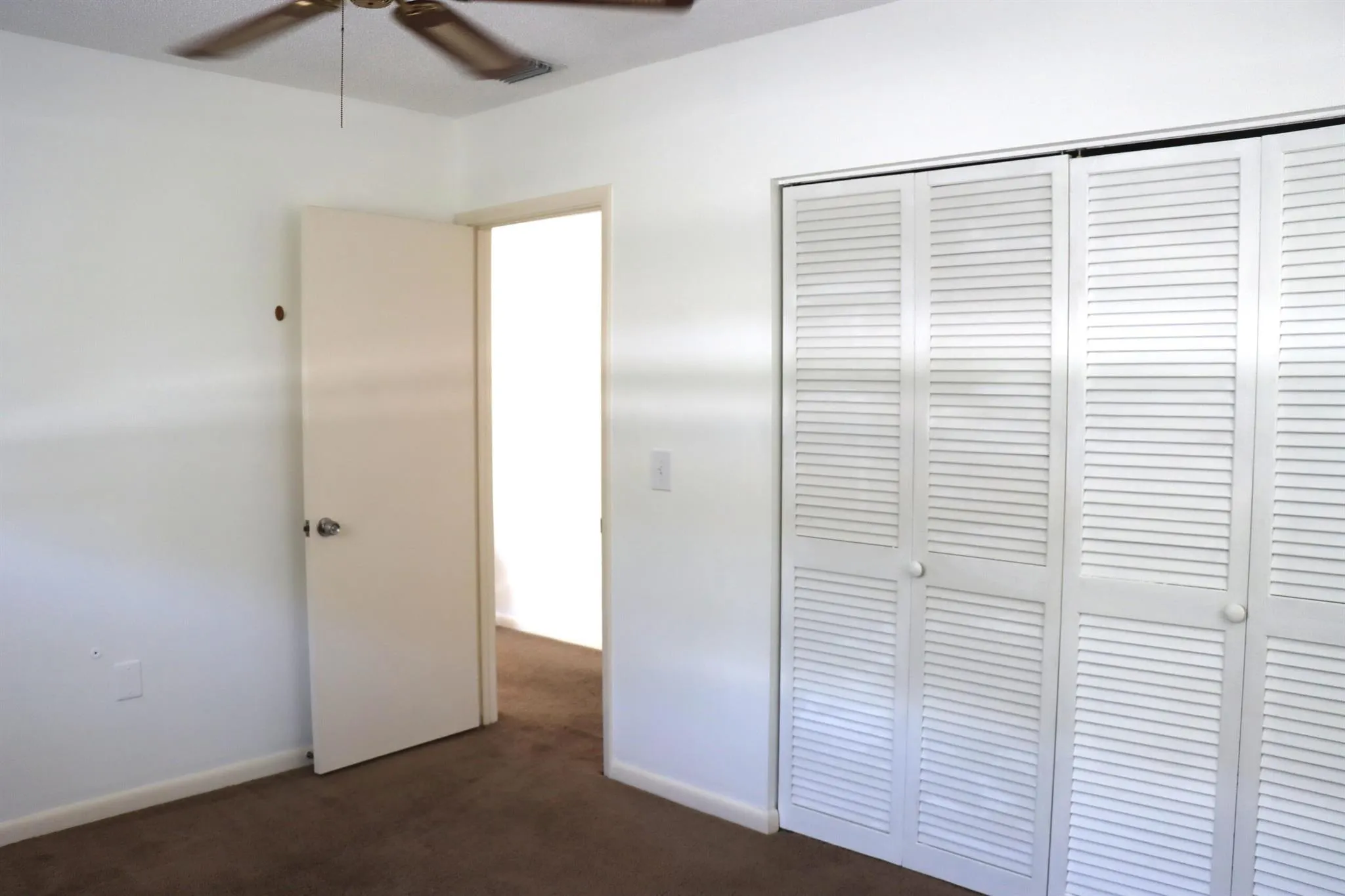 231 Hibiscus Street