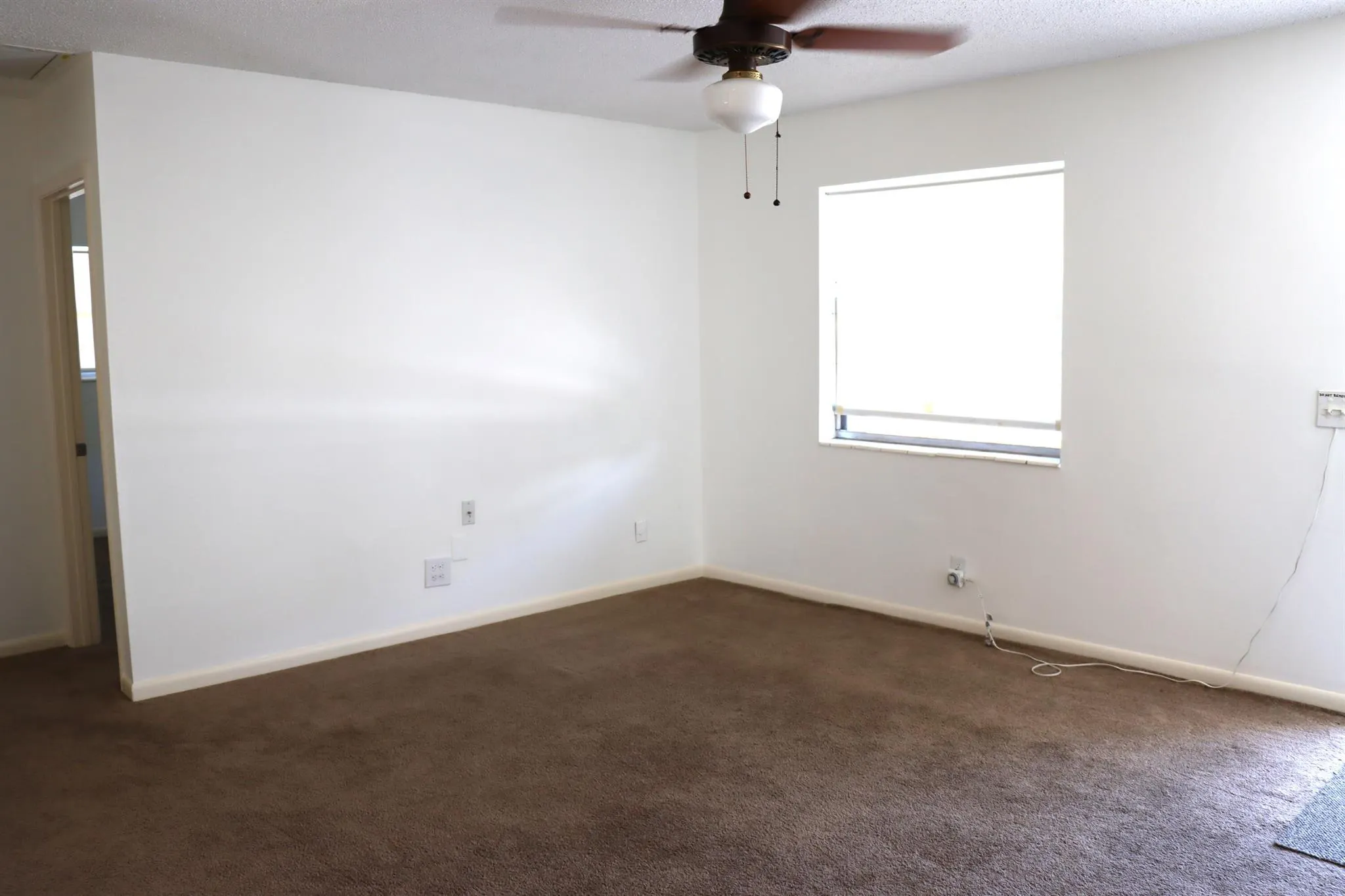 231 Hibiscus Street