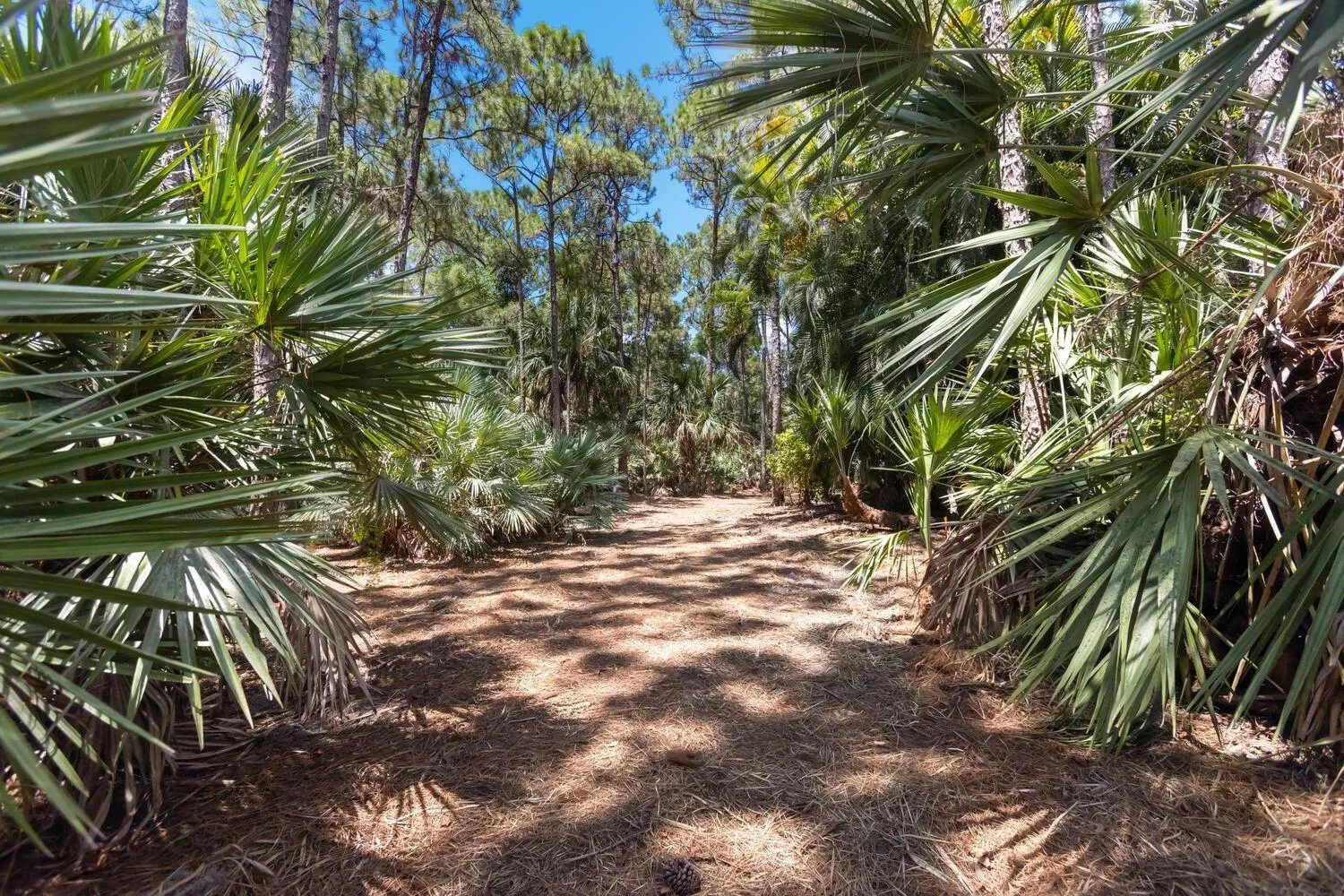 15659 113th Trail N