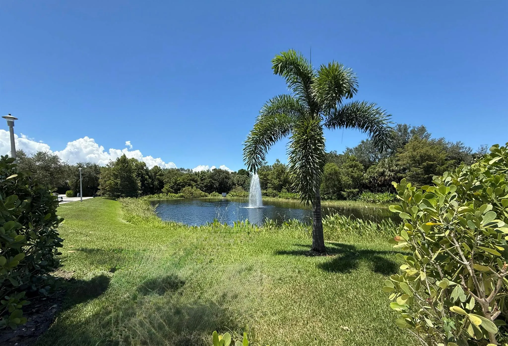 11425 Pointe Midtown Drive