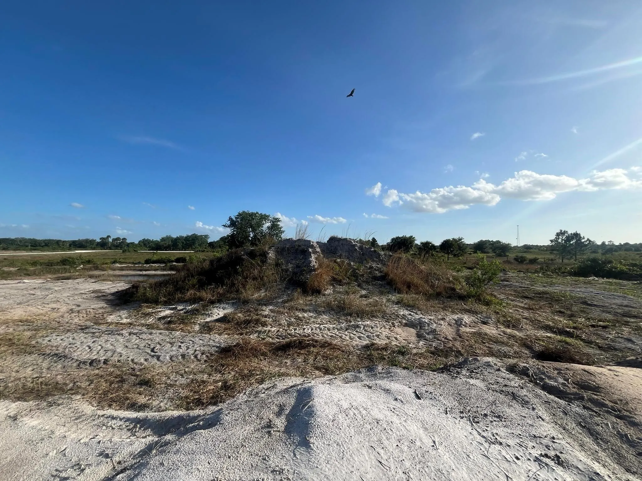 16058 NW 290th Street