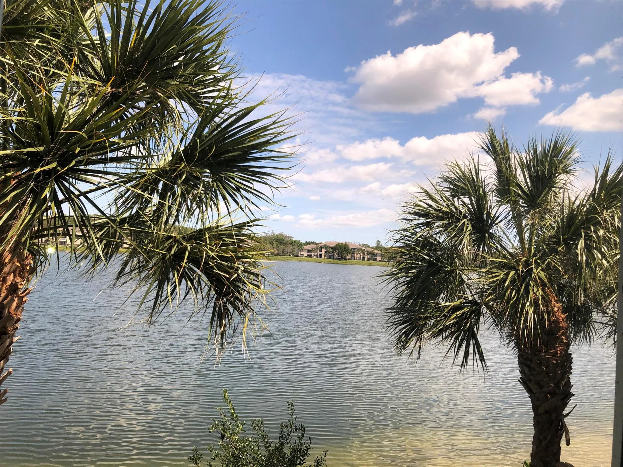 5001 Wiles Road, #204