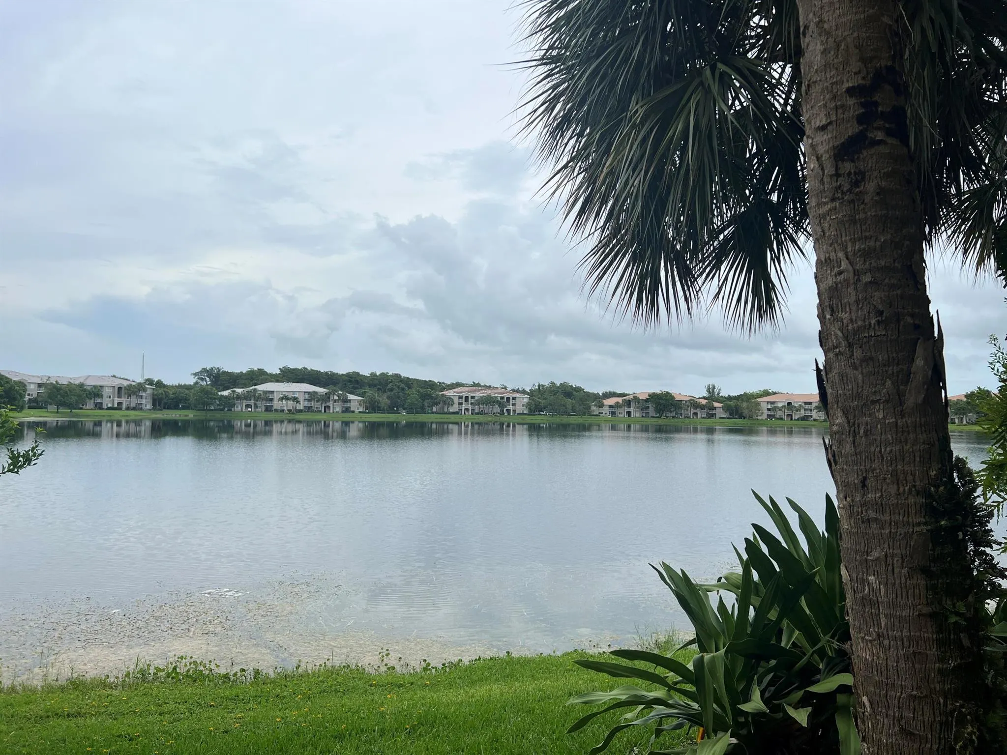 5001 Wiles Road, #204