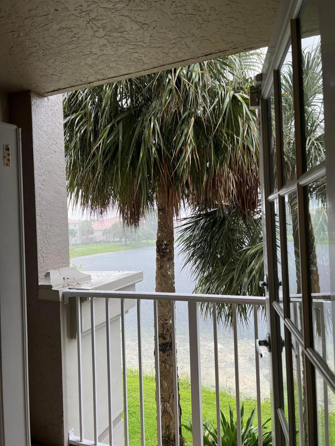 5001 Wiles Road, #204