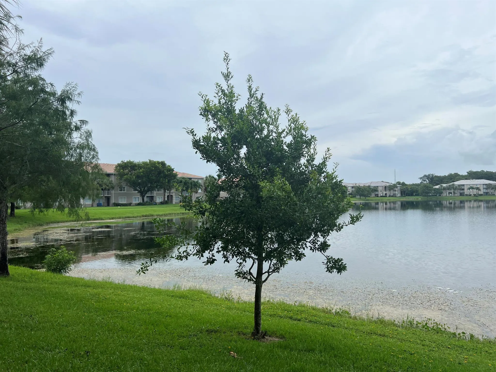 5001 Wiles Road, #204