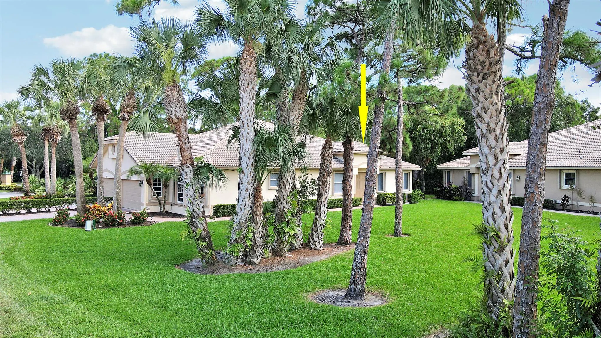 7010 Willow Pine Way