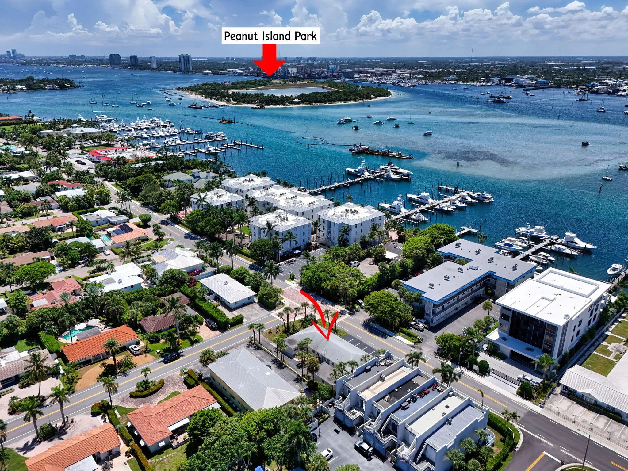 343 Bamboo Road, #1-4
