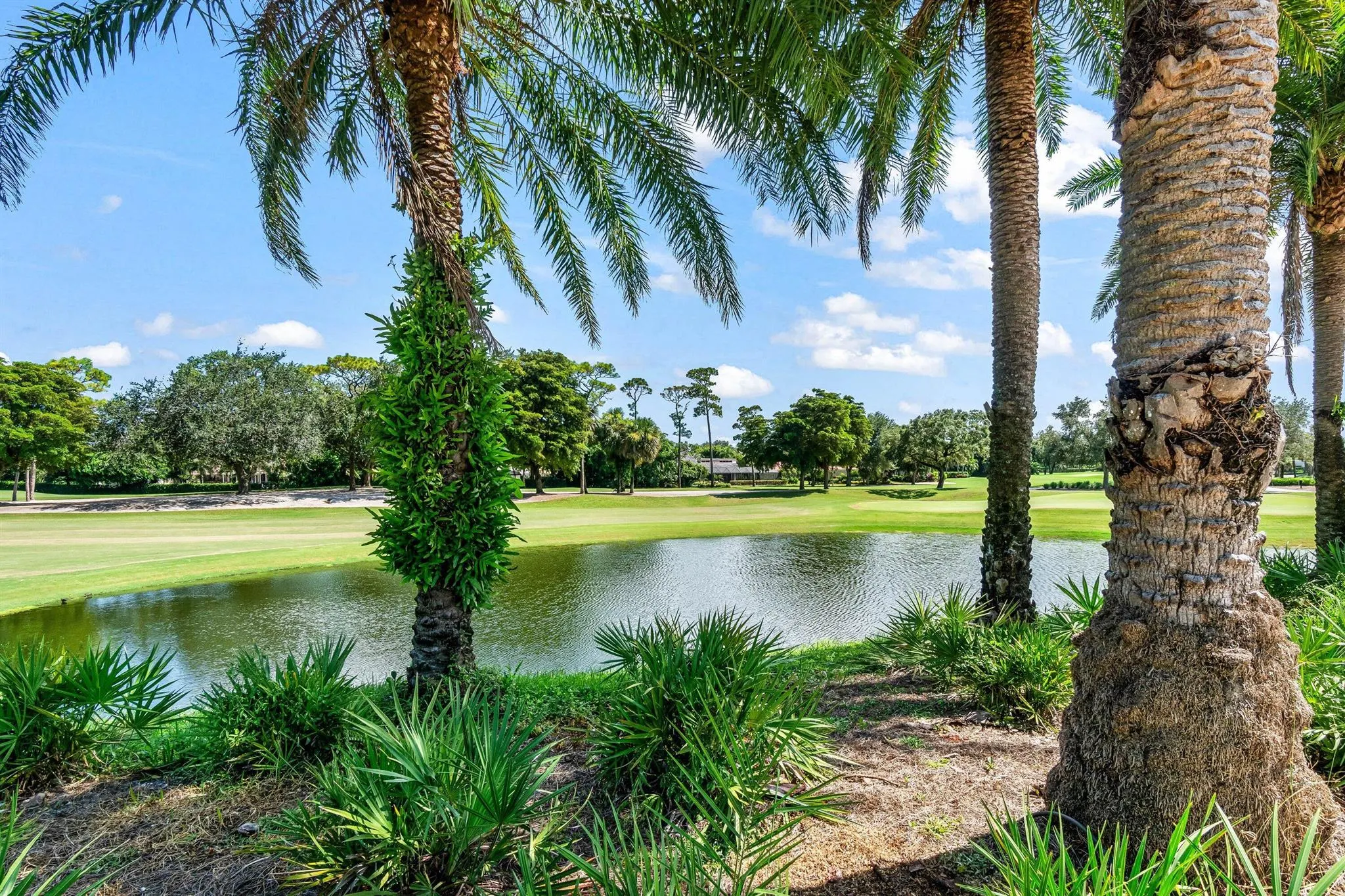 3826 Quail Ridge Drive N, #Blue Heron