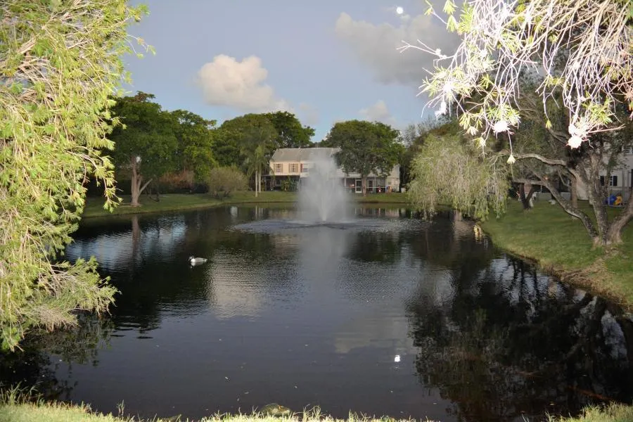 304 Georgian Park Drive