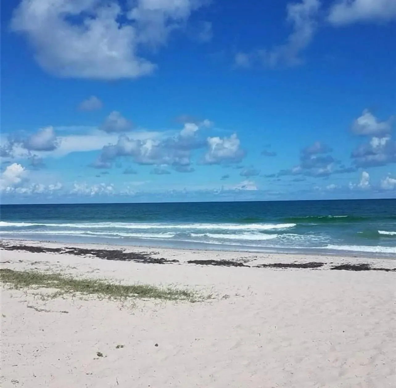 4100 N Highway A1a, #113