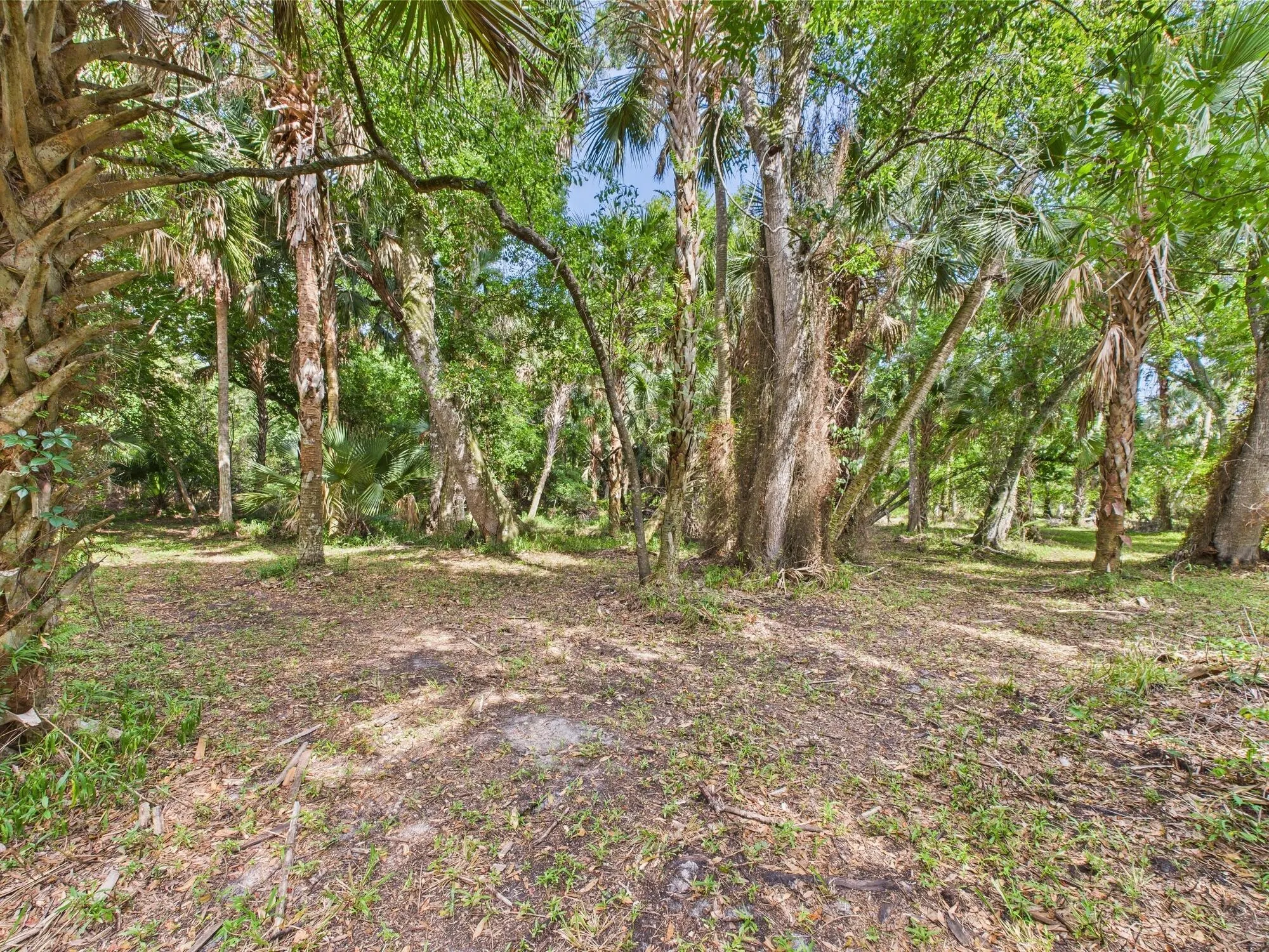 52 SW 67th Drive