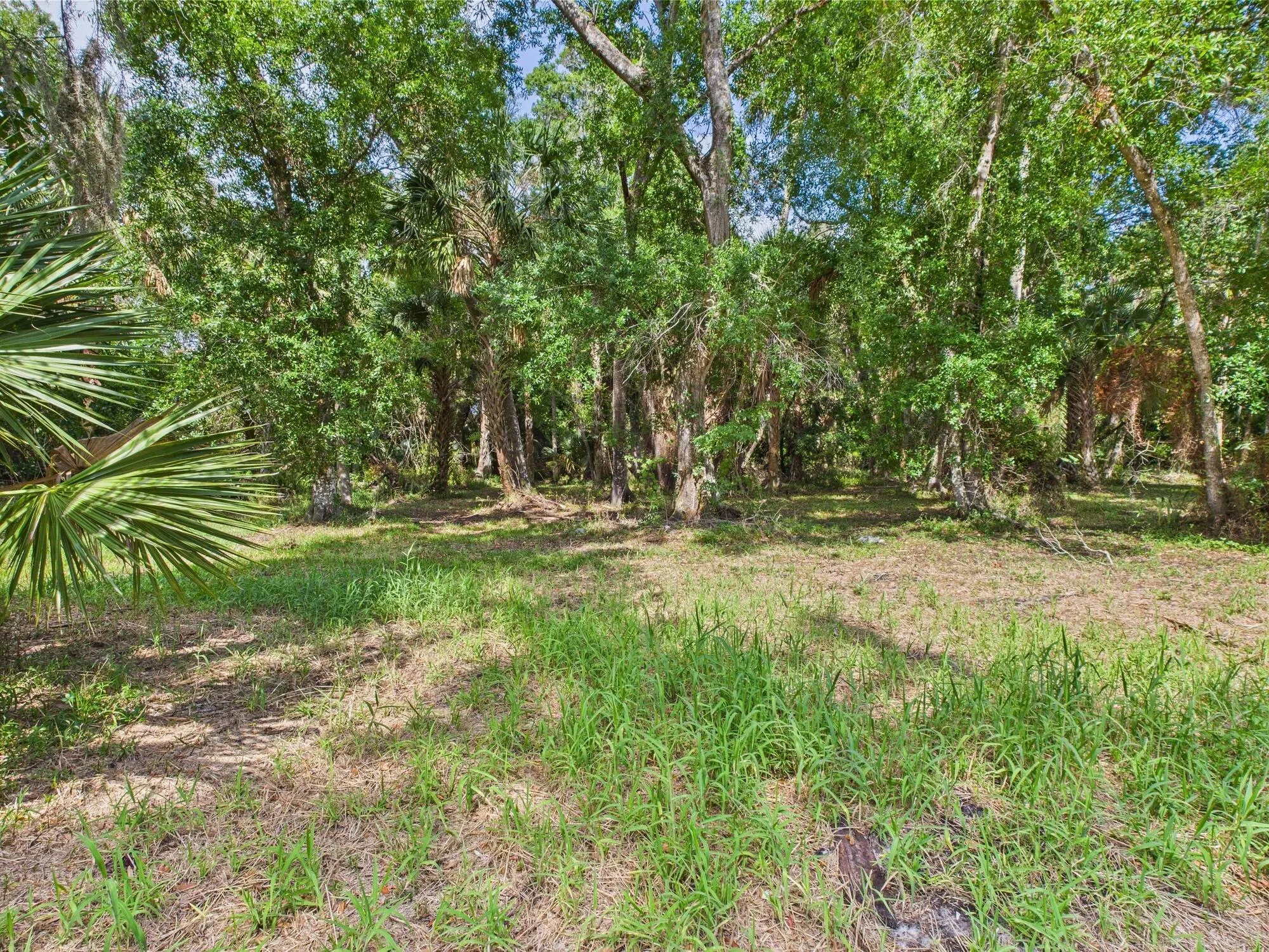 52 SW 67th Drive