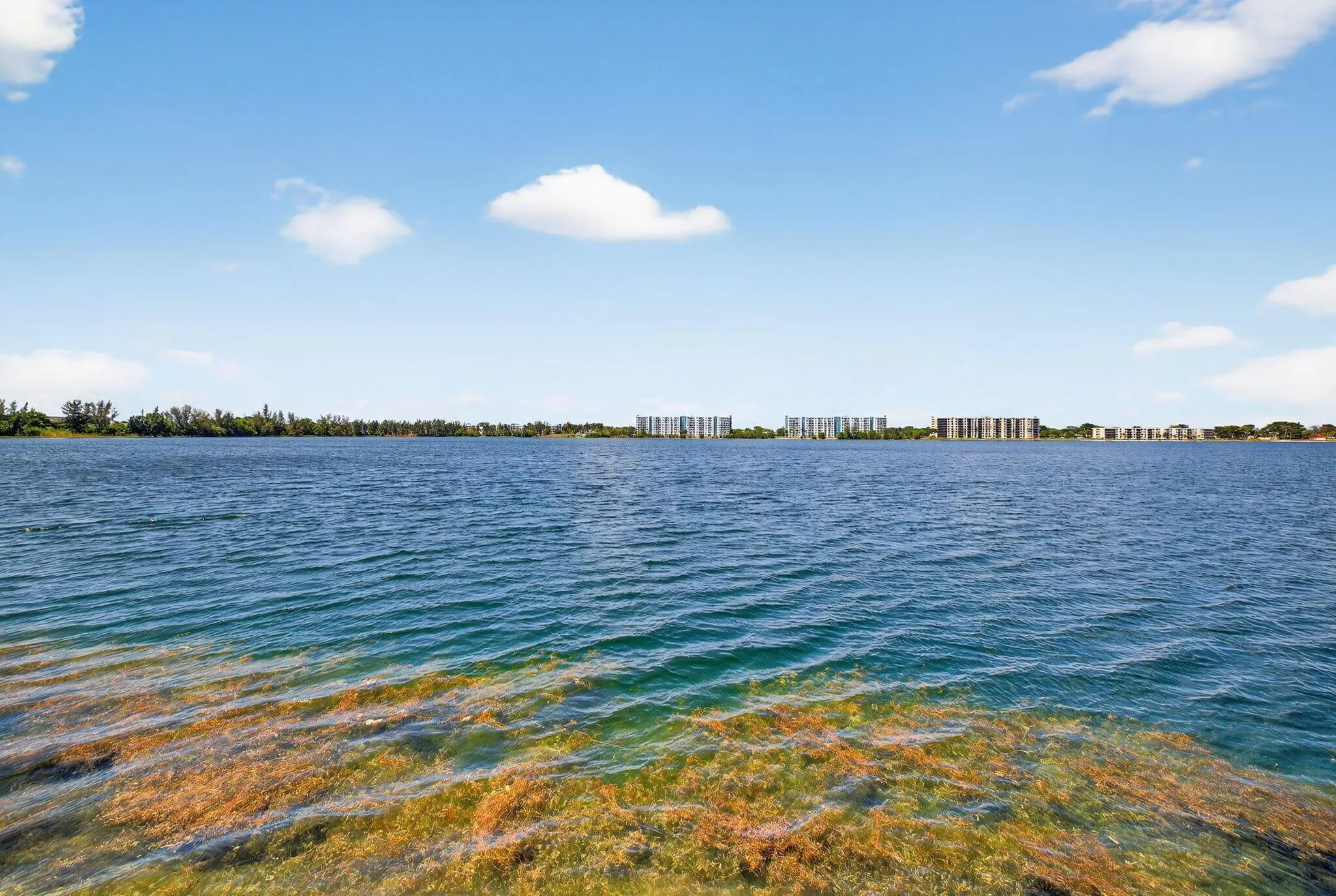 117 Lake Emerald Drive, #208
