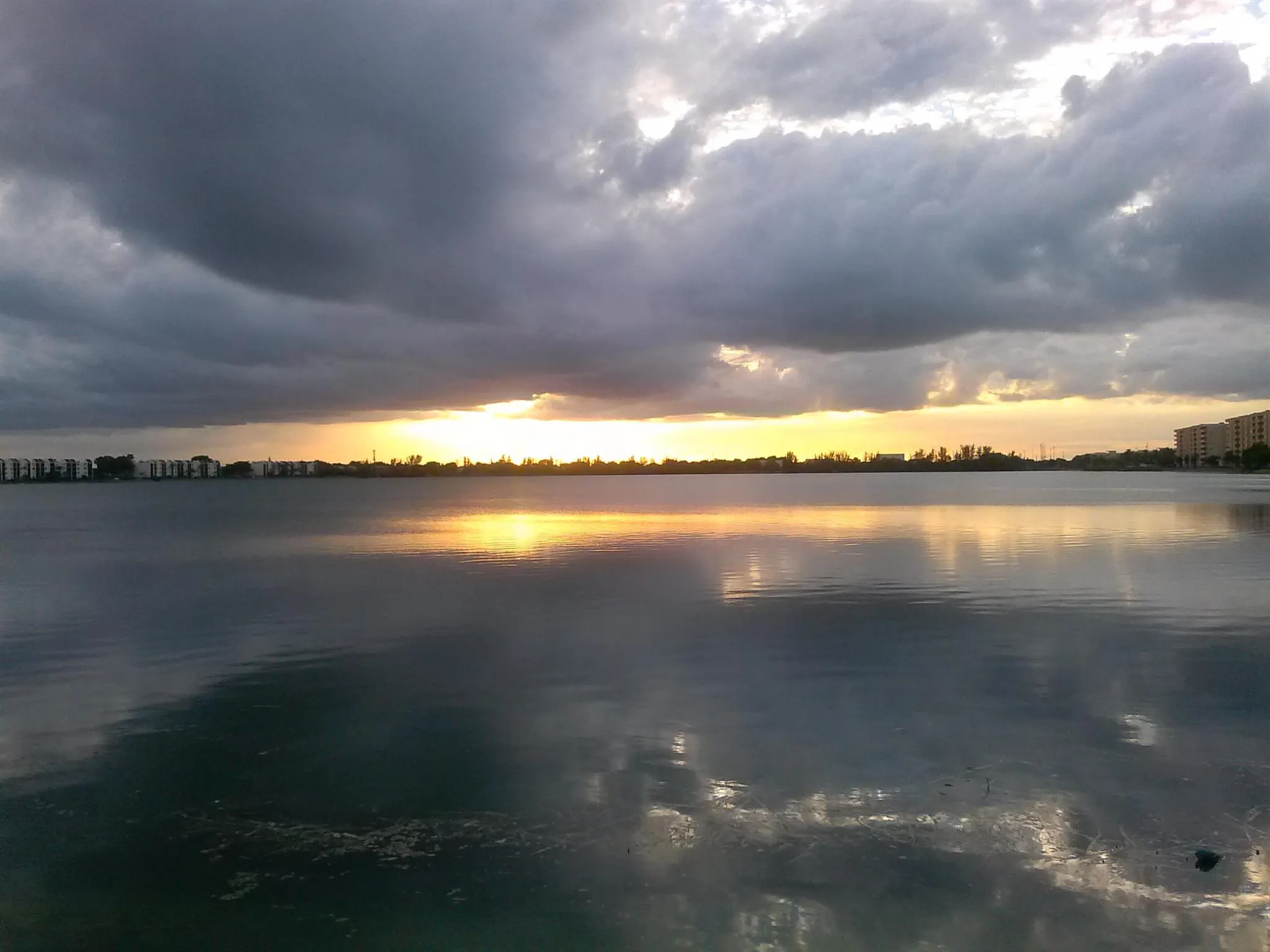 117 Lake Emerald Drive, #208