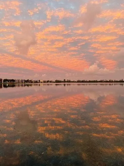 117 Lake Emerald Drive, #208