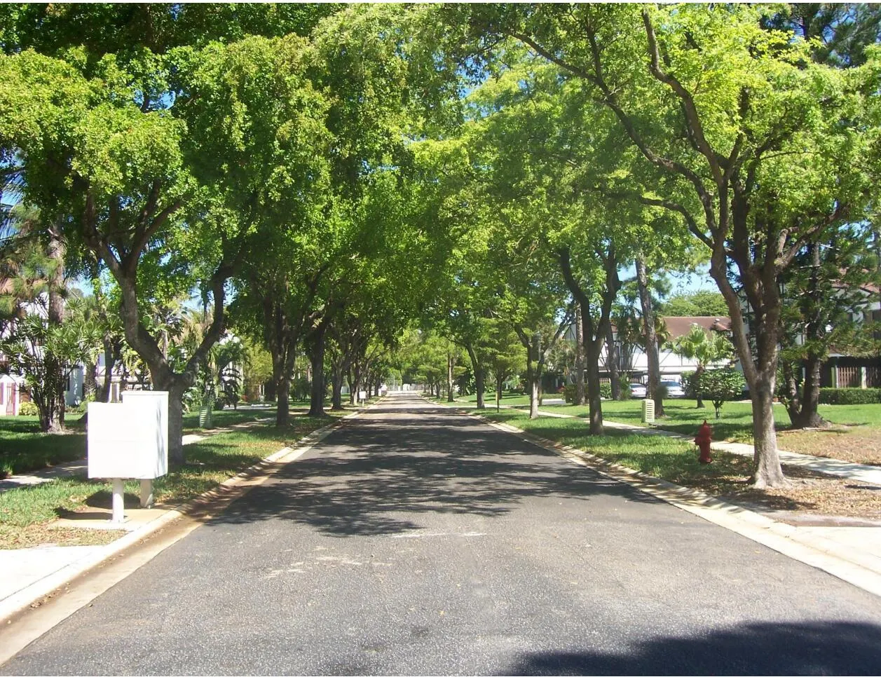 2429 Lena Lane