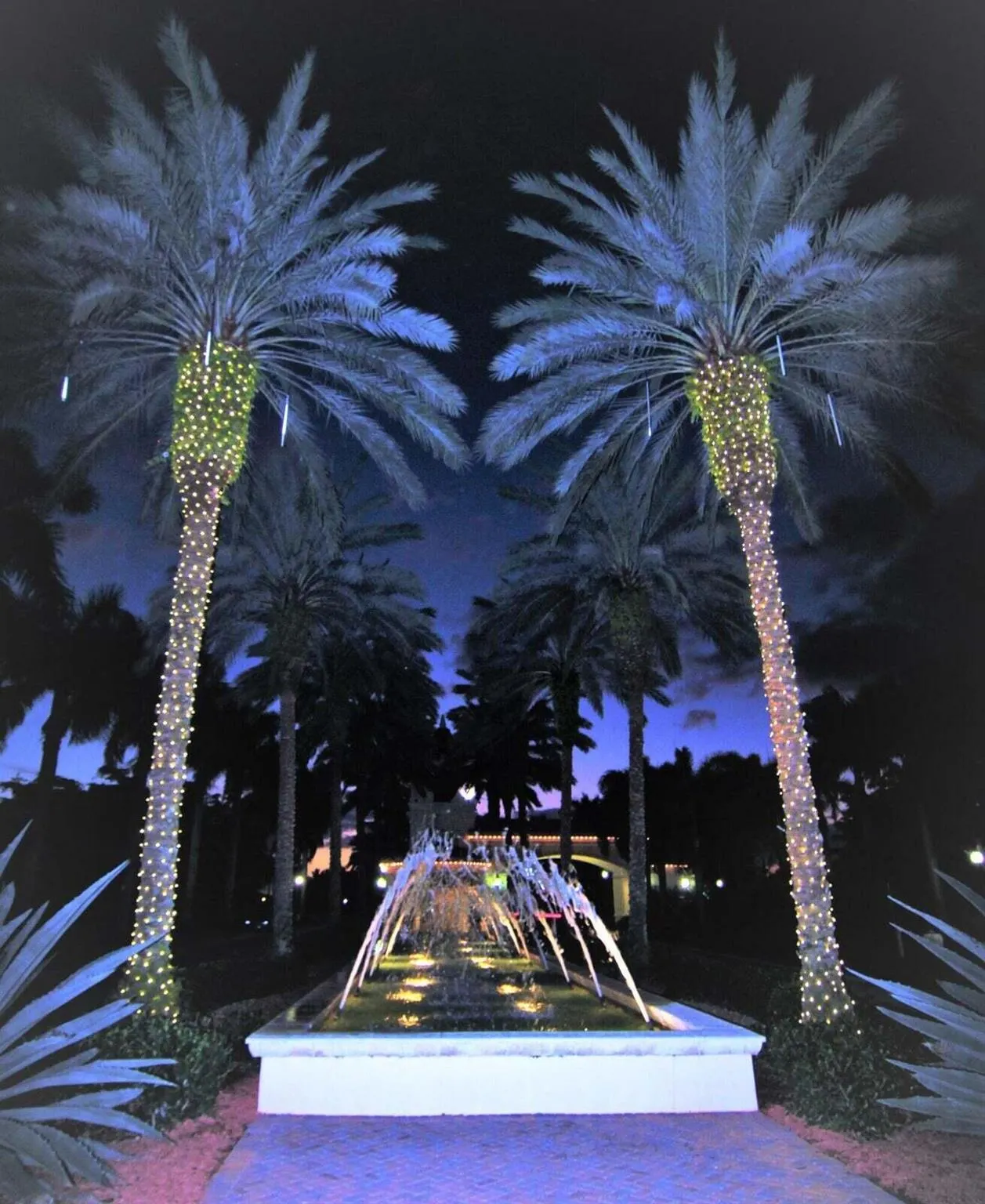 13129 Aliso Beach Drive
