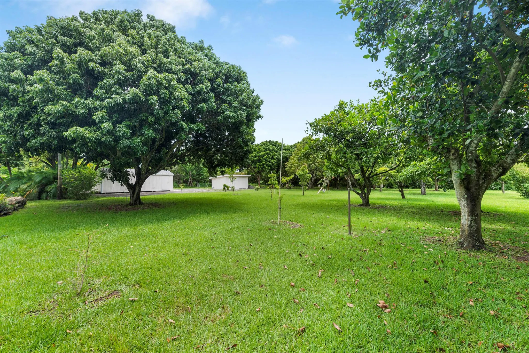 5516 Colbright Road