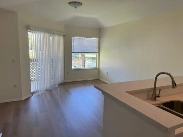 4823 Via Palm Lakes, #1317