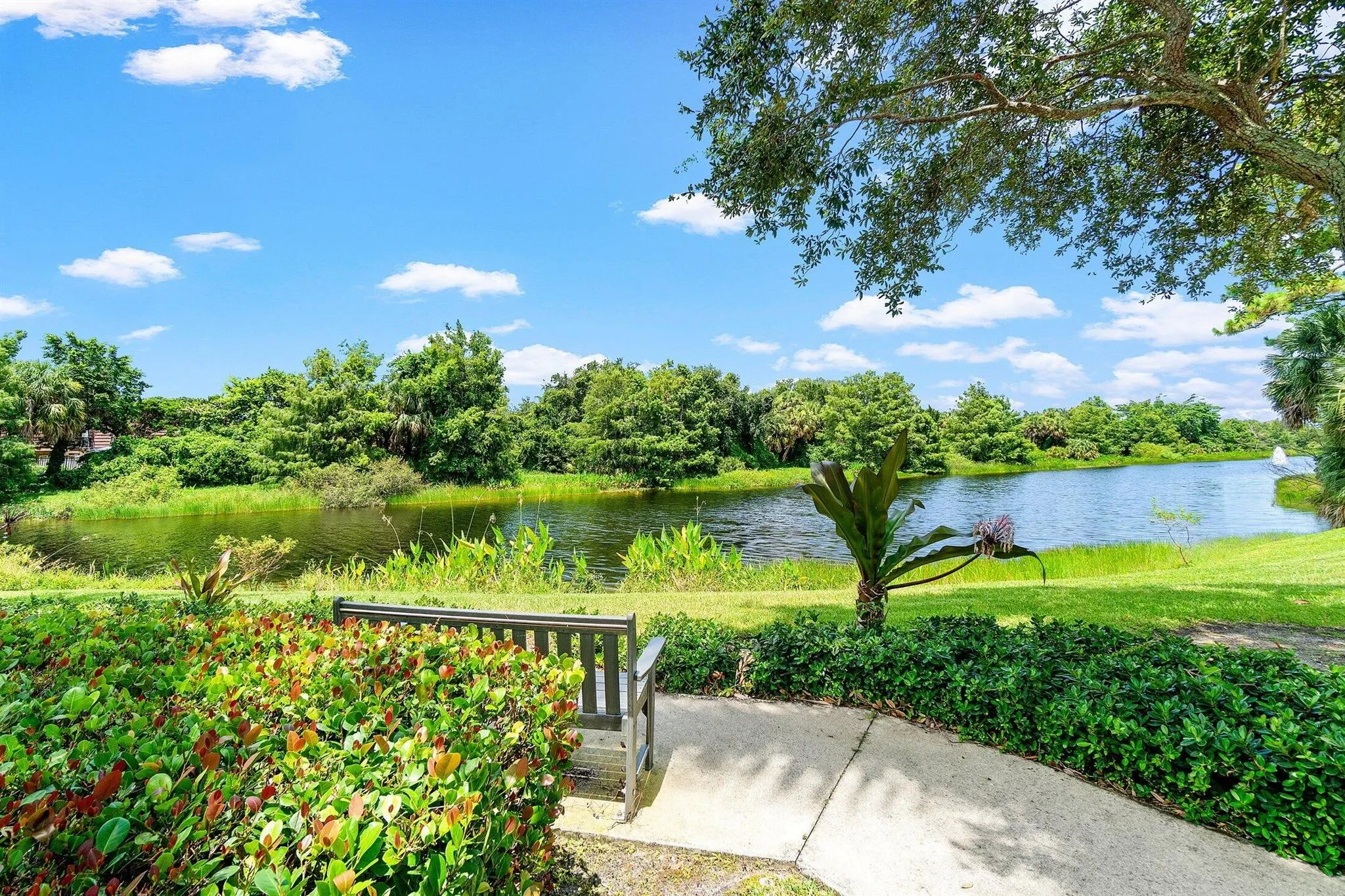 11401 Pointe Midtown Drive