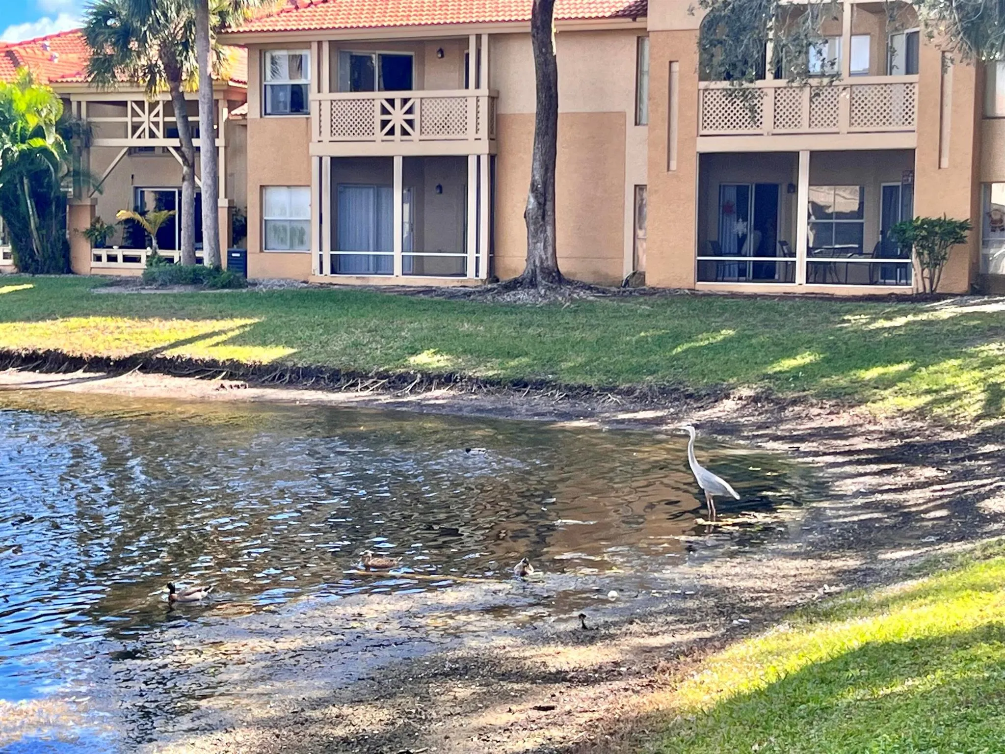 4855 Via Palm Lakes, #911