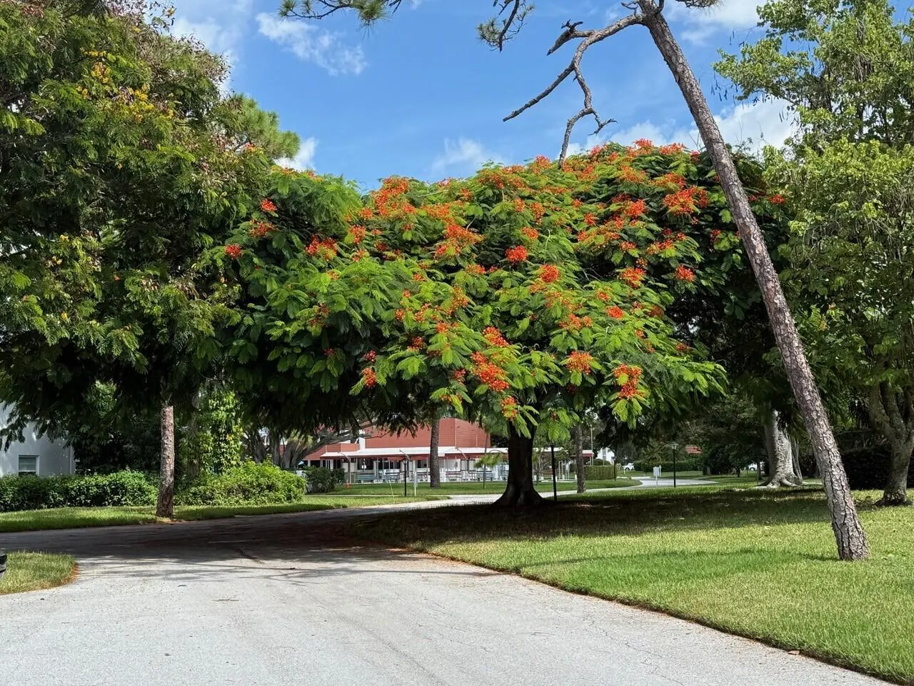 2600 SE Ocean Boulevard, #K12