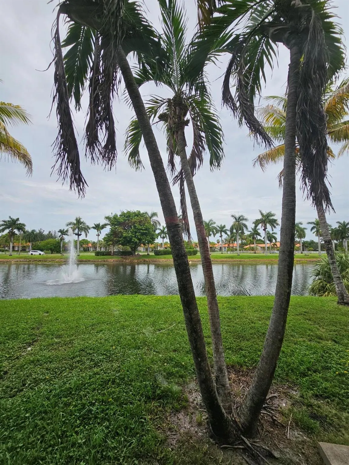 1523 Lake Crystal Drive, #B