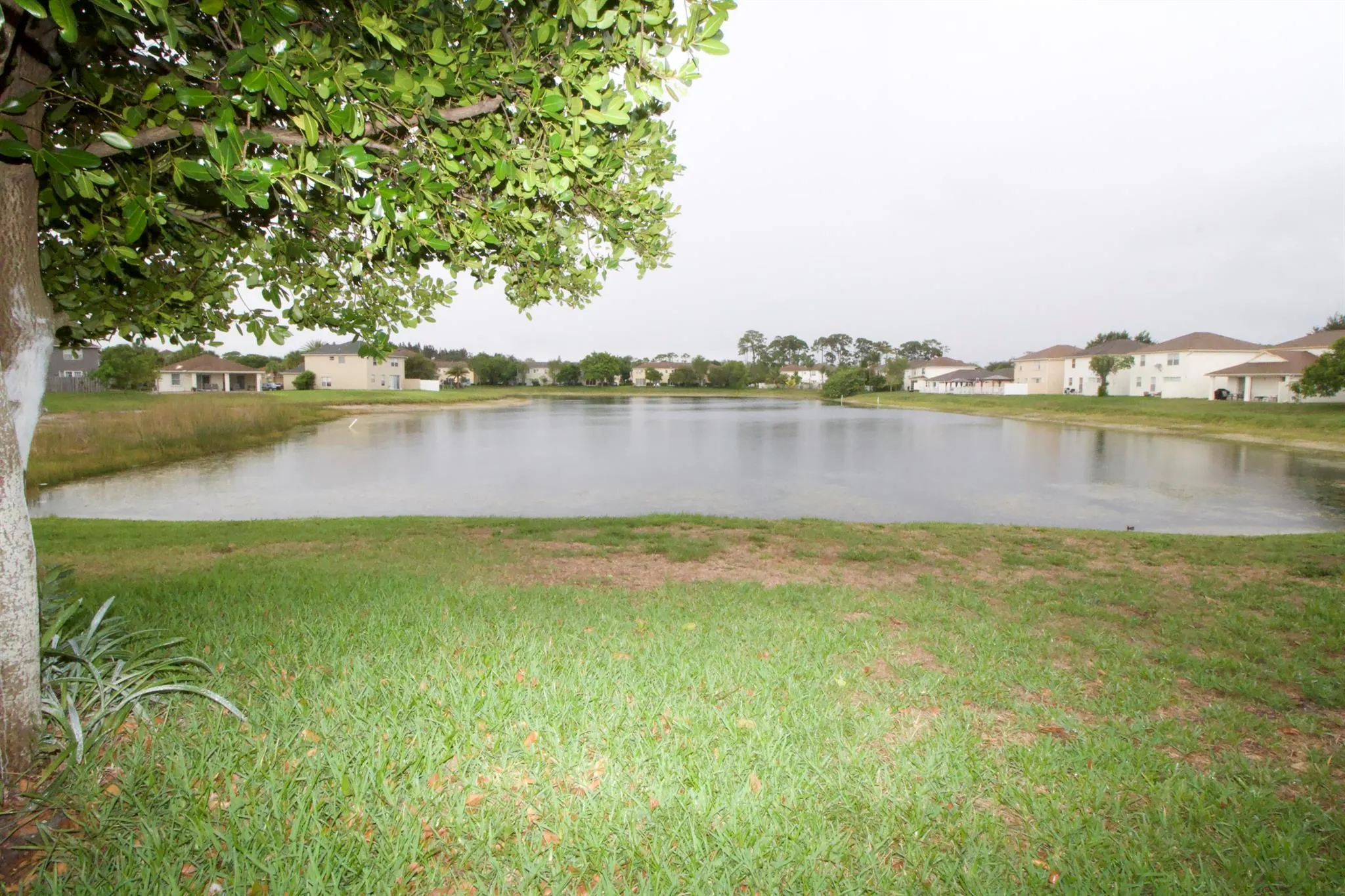 5086 Rambler Rose Way
