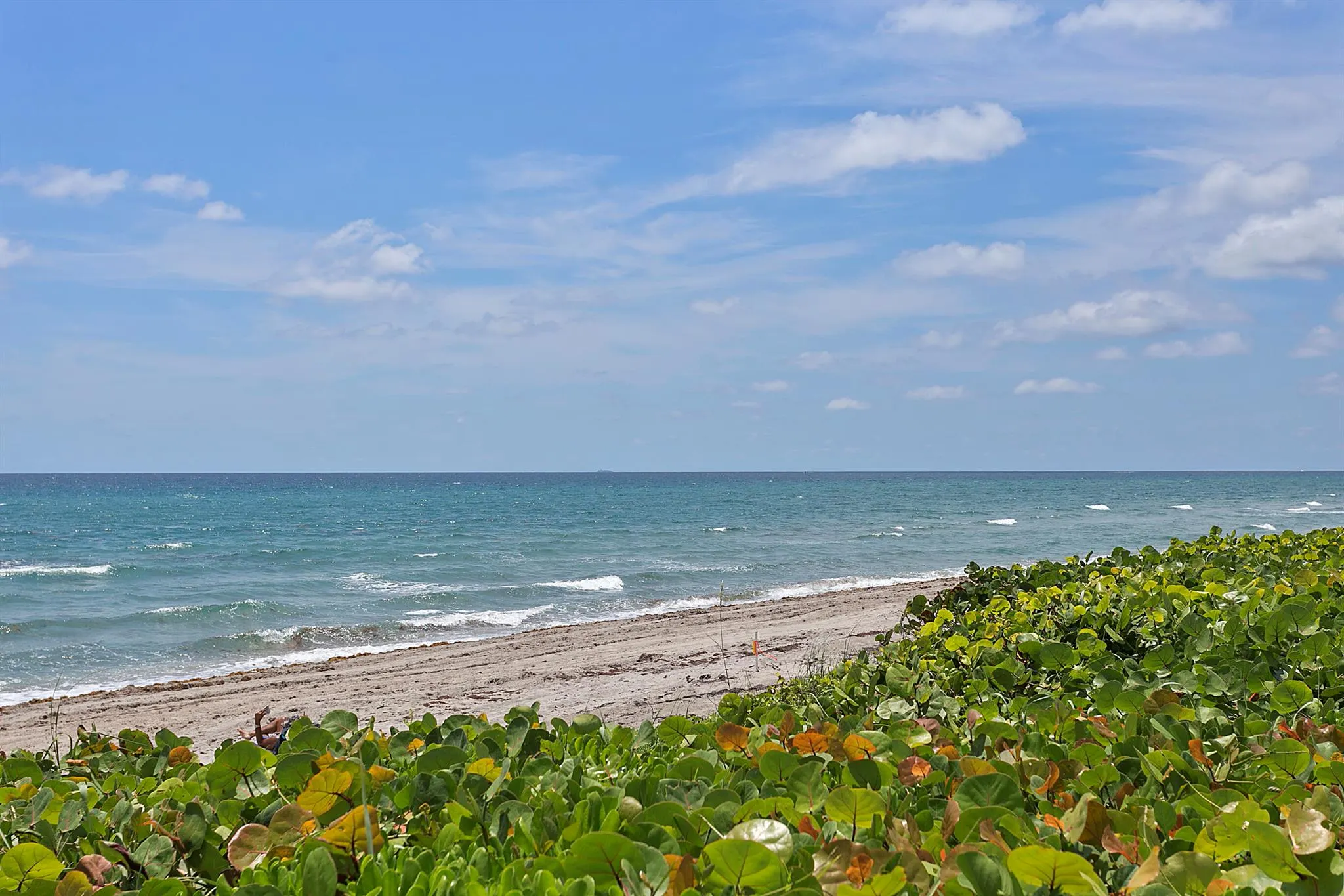 3115 S Ocean Boulevard, #801