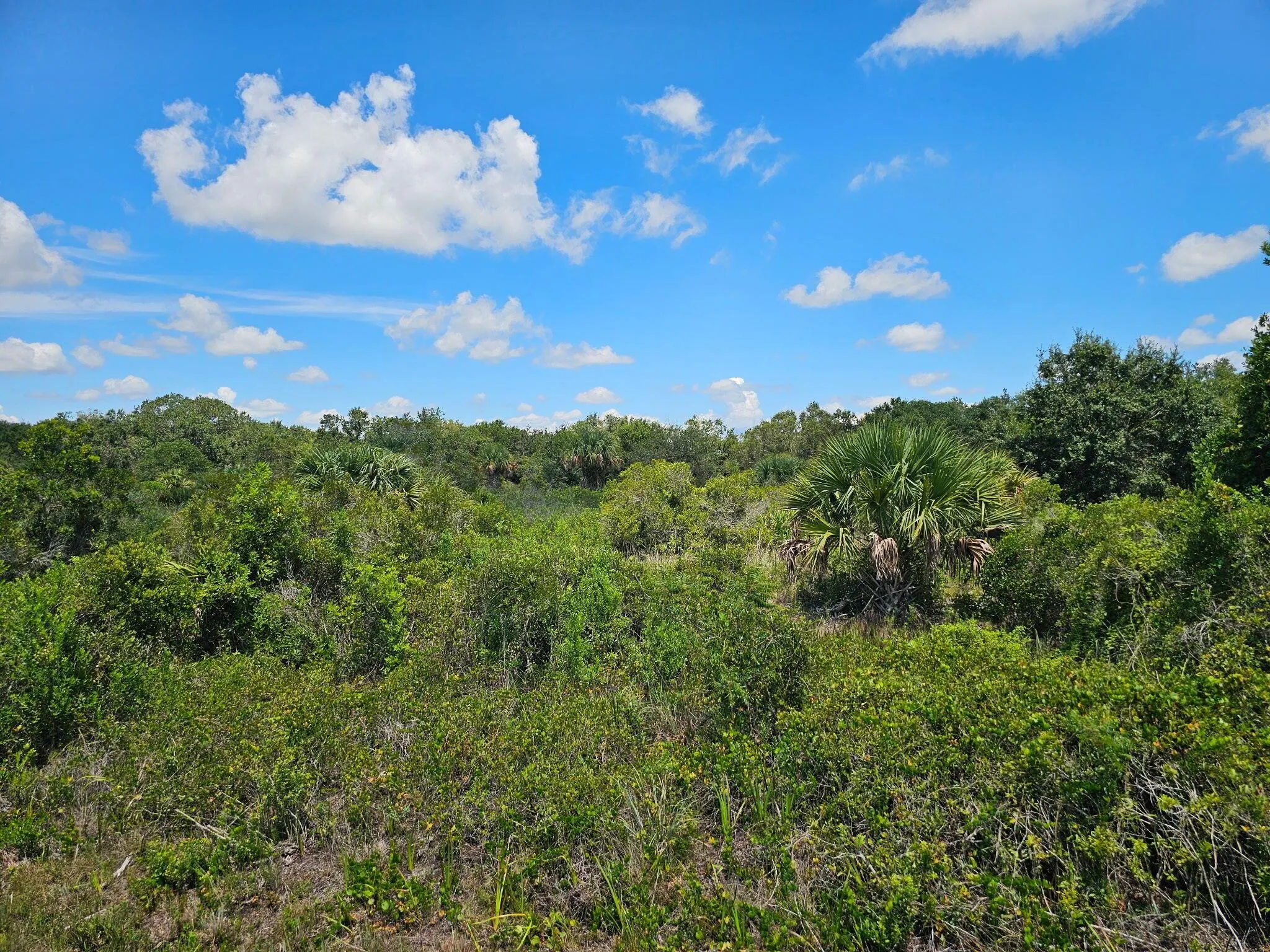 16431 NW 270th Street