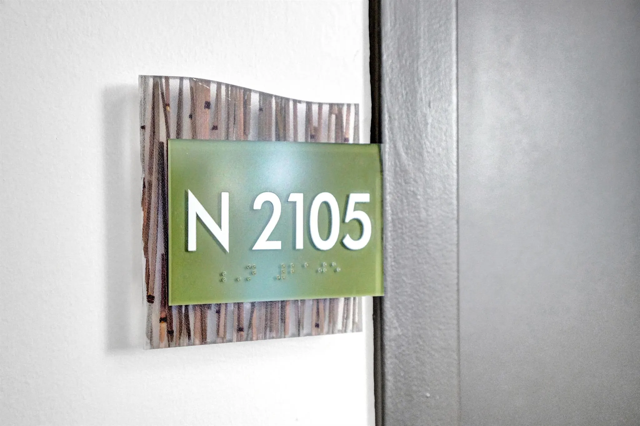 2641 N Flamingo Rd, #2105n