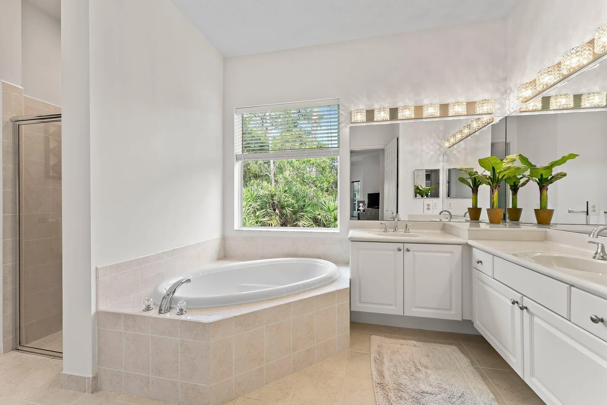 11219 Osprey Lake Lane