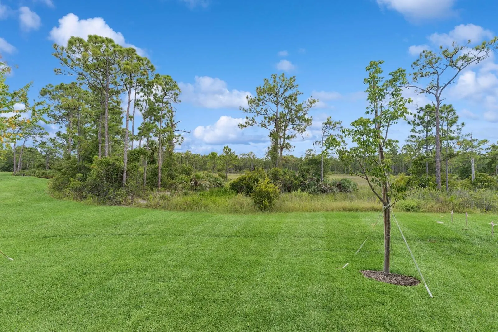 10288 Field Flower Trail, #182